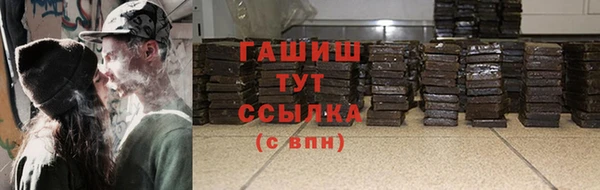 гашик Алексин