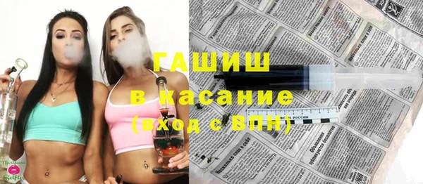 гашик Алексин