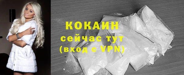 тгк Алзамай